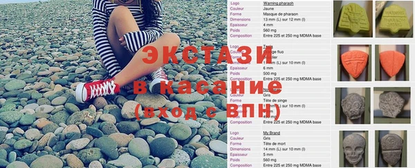 стаф Алзамай