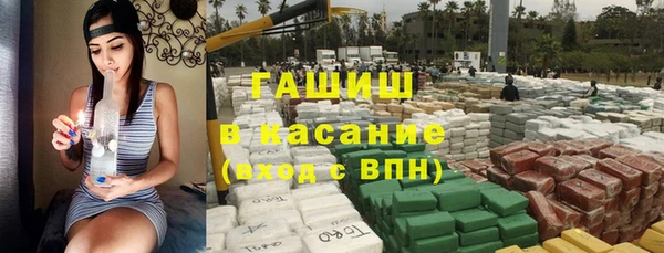 стаф Алзамай