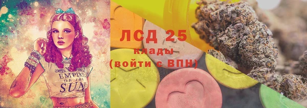 стаф Алзамай